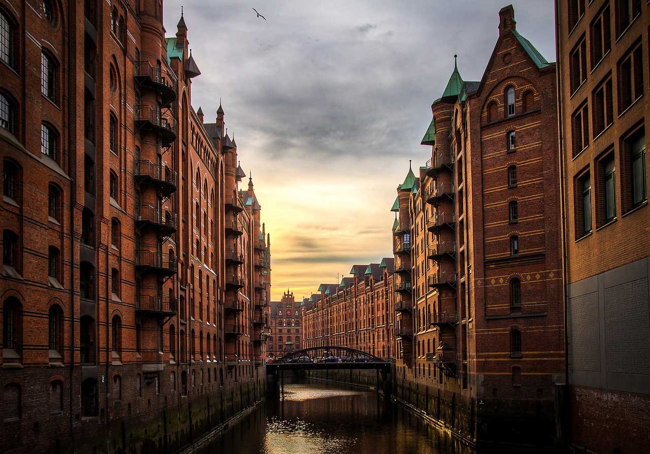 Single hamburg